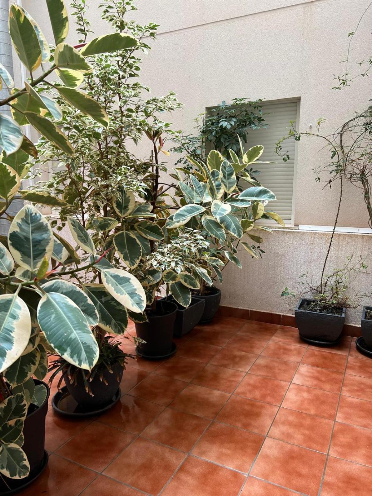 Pura Vida Lägenhet Águilas Exteriör bild